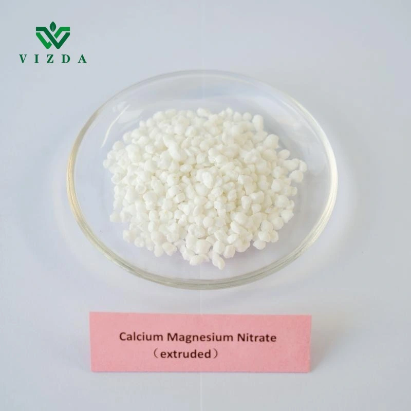 Water-Soluble Fertilizer Magnesium with Nitrate Salt Camg (NO3)2) for Agriculture Crops