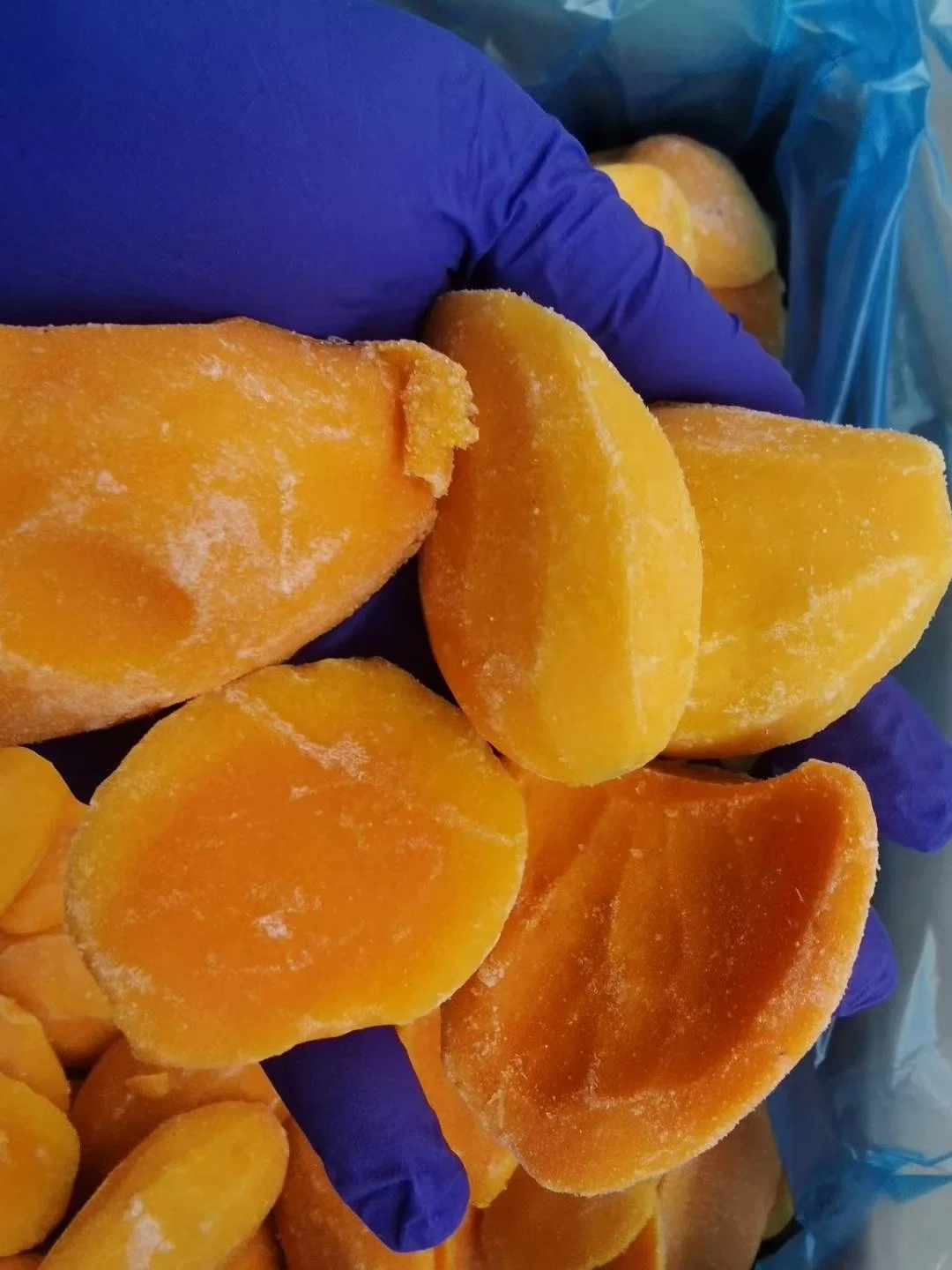 Mango congelado IQF fruta congelada para zumos Proveedor