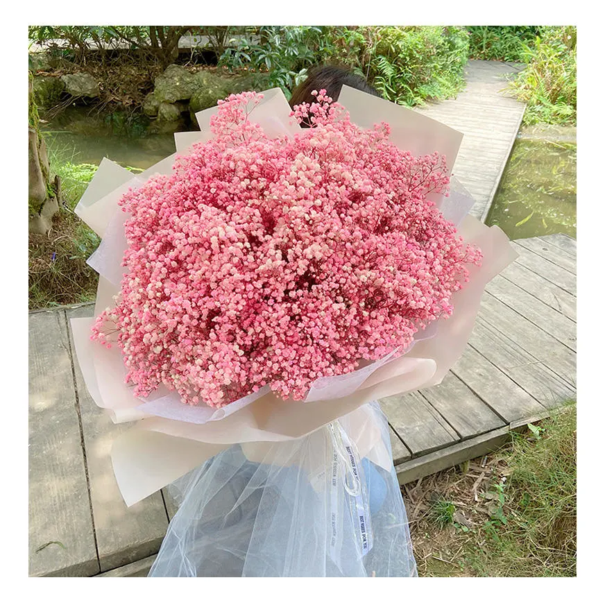 Natural Gypsophila Dried Flowers Succulent Wedding Bouquet Wedding Table Arrangements