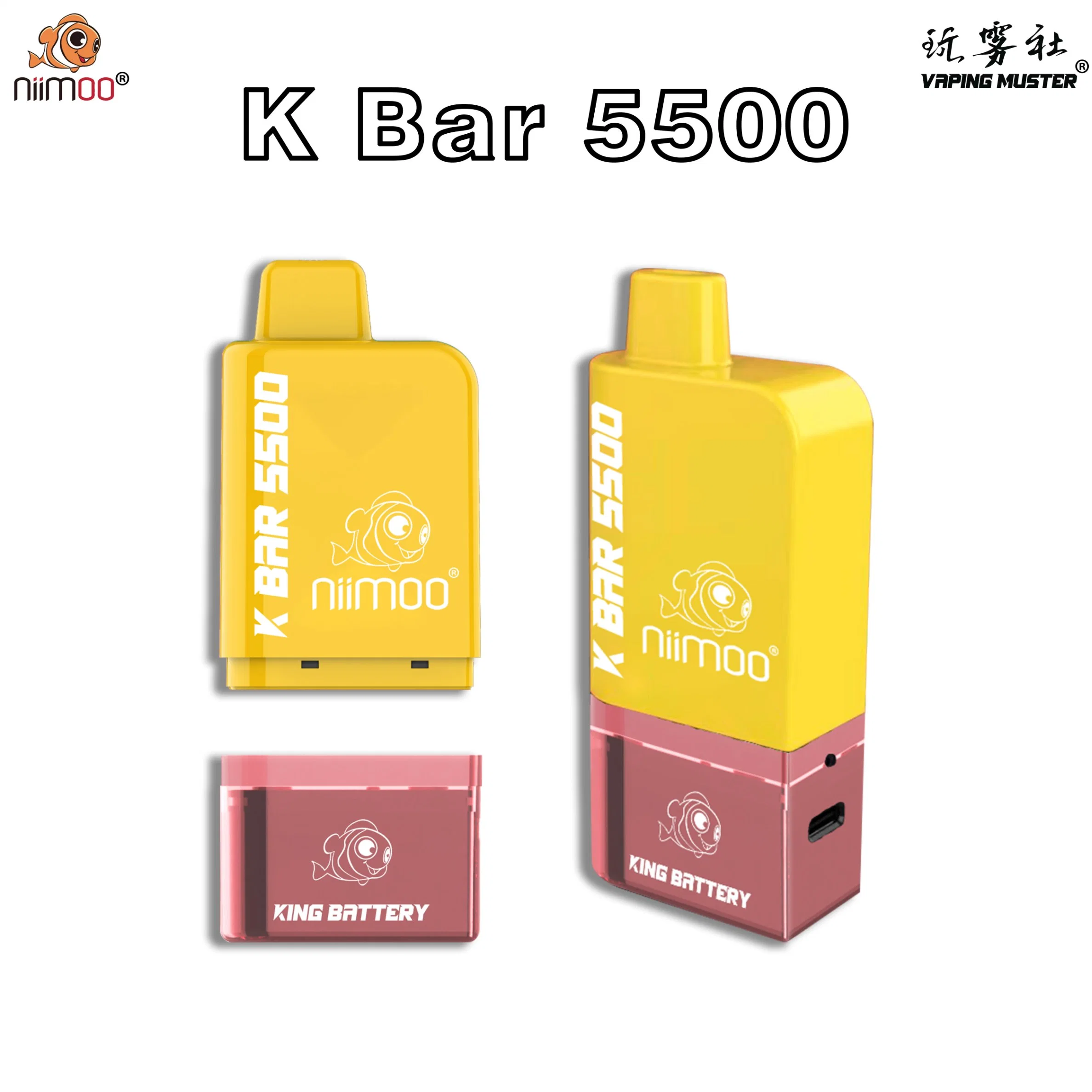 Niimoo 2022 Hot Sale Electronic Cigarette 14ml Wholesale Disposable Vape Pen with 5500 Puffs Bar Plus