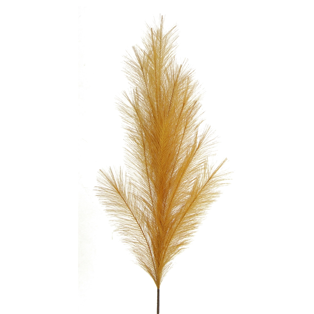 Sumflora Dekorative Natürliche Kleine Braune Pampas Gras Getrocknete Blumen