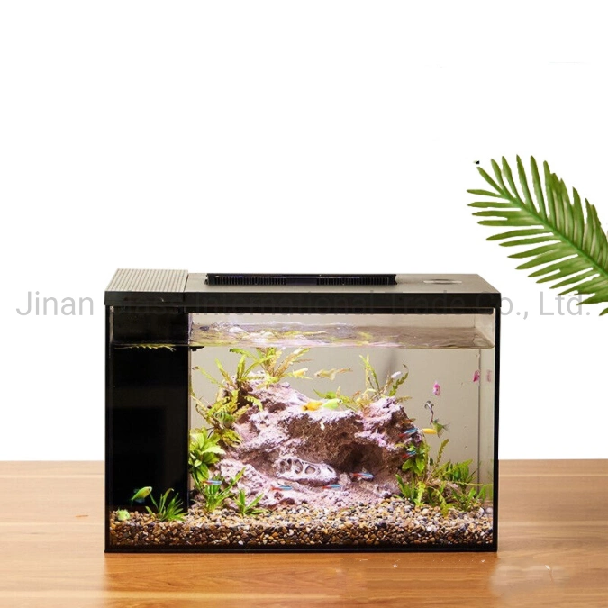 Intelligent Fish Tank réservoir écologique de bureau du réservoir de poissons de verre