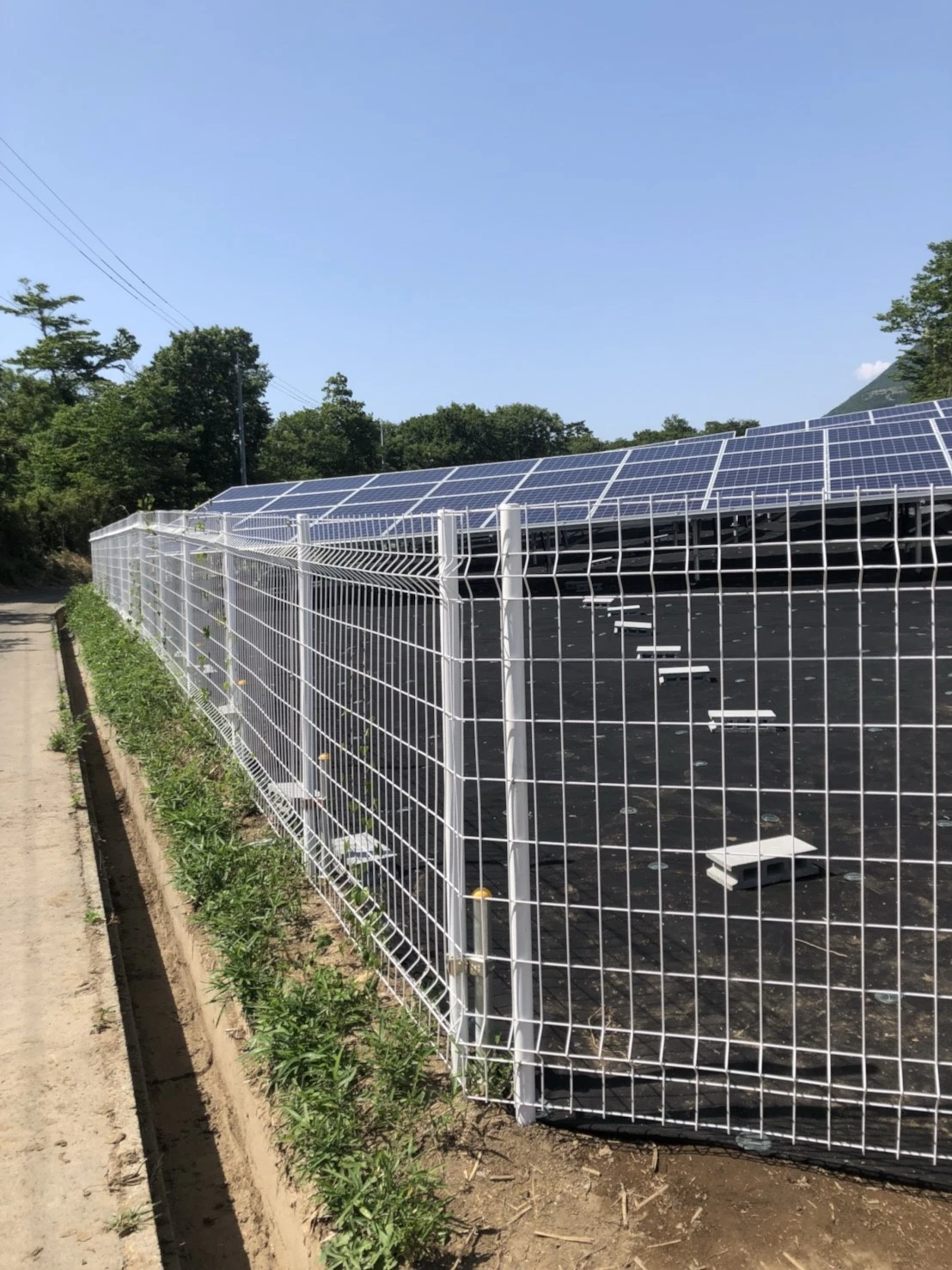 Panel solar PV montaje cercado Acero límite Granja pared Esgrima Paneles Galvanizado polvo recubierto Negro / Verde / Blanco de hierro forjado cercado