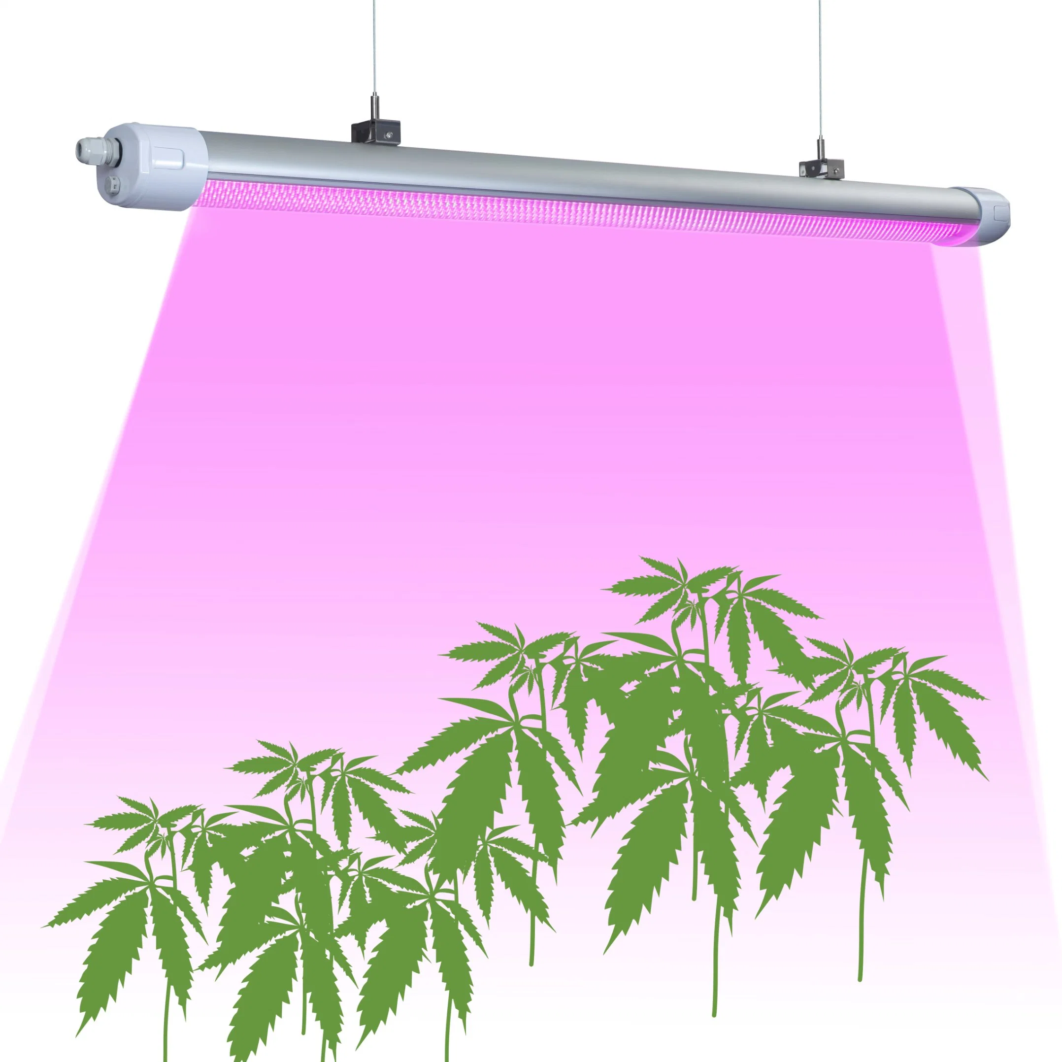 LED Grow Light 160lm/W Competitive Pink Spectrum 50W 150W 200W