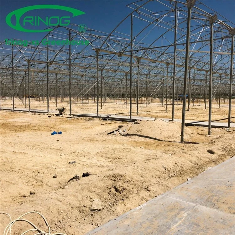 Commercial Large Plastic Film Green House with Shading System for Cultivation