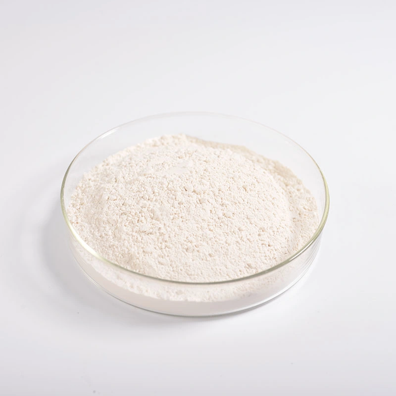 Pure Natural Resveratrol Powder 10% 50% 98% Giant Knotweed Extract