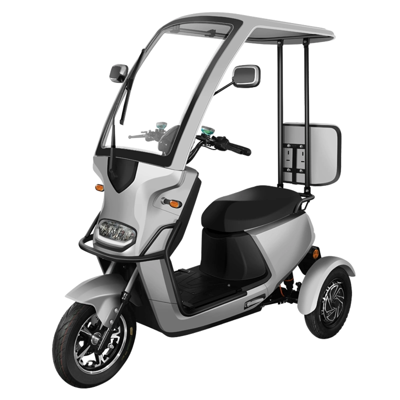 China's Best-Selling Adult Goods Electric Trike 48V60V Motorcycle