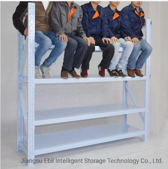 CE SGS TUV Certification Pallet Rack Storage Shelf Shelves and Racks ODM ODM for Warehouse Storage