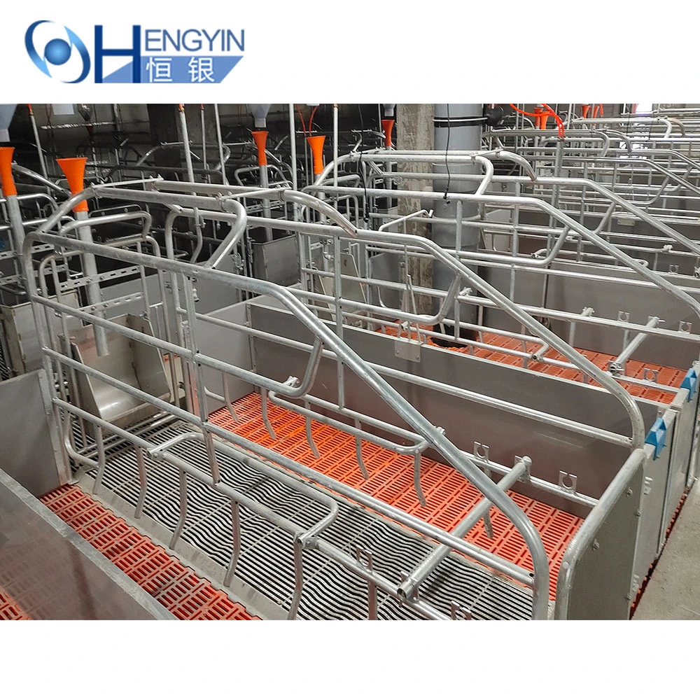 Pig Cages Farm Pig Farming Crate