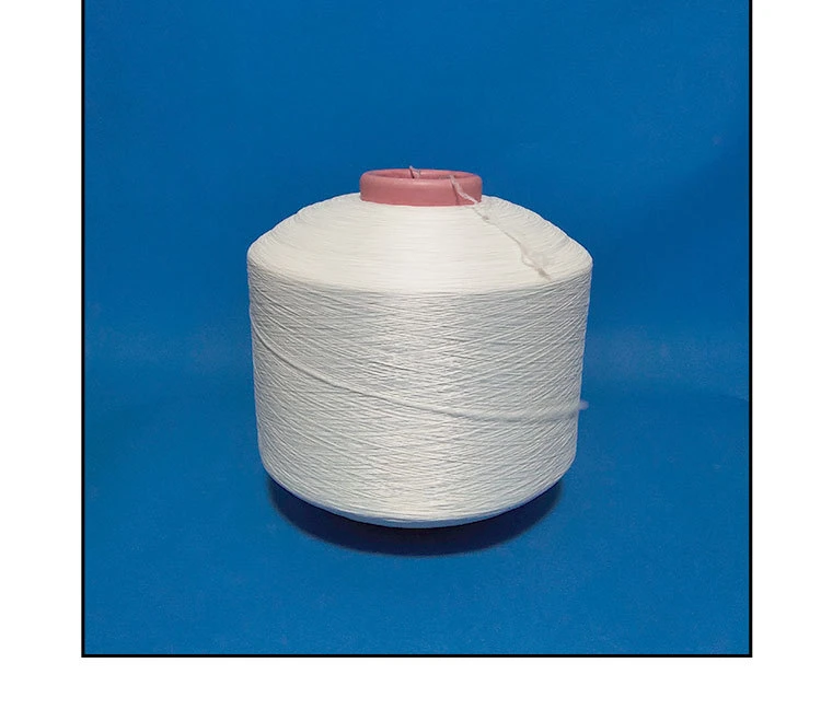 Ring Spun Polyester Set up Yarn with 400d/600d