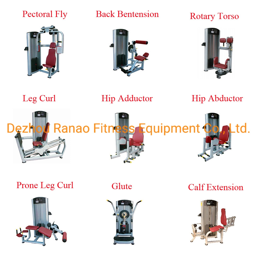 Factory Direct Produce Gym Equipment Body Building Exercise Calf Muslce Calf Extension/Seated Calf Raise Sports Equipment