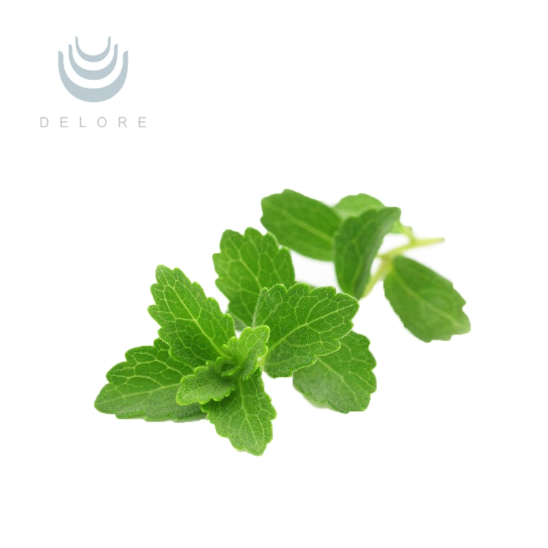 Stevia Reb-un 97% de azúcar en la Stevia la Stevia Extracto de la hoja 100% Natural extracto de hojas de Stevia Edulcorante Natural Stevioside Extracto de la hoja de Stevia Stevia extracto herbal