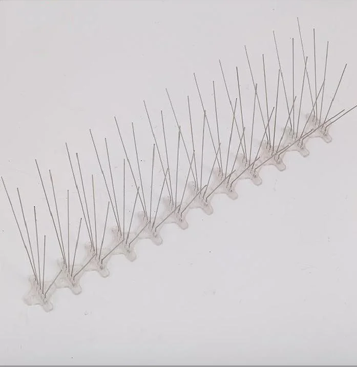 Hot Sale 5m Long Stainless Steel Pigeon Control Spikes Anti Bird Spikes for Bird