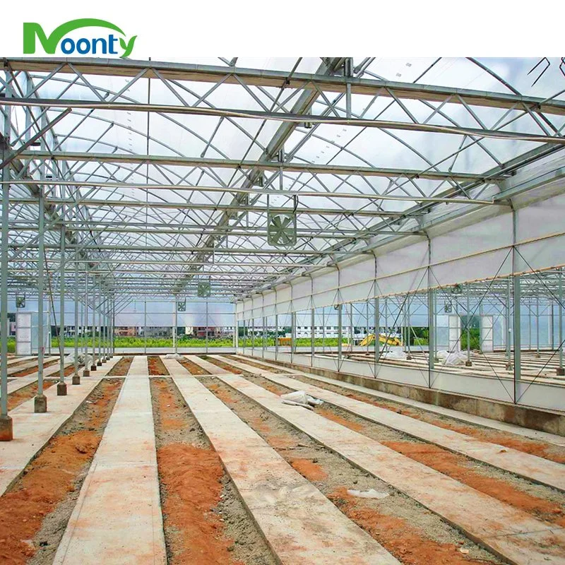 Prefabricated High quality/High cost performance  Sawtooth Roof Ventilation Multi-Tunnel Greenhouse for Vegetables