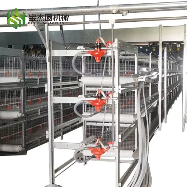 Suppliers Sale High quality/High cost performance H-Type Chicken Cages and Steel Structure Chook House Battery Poultry Farming Equipment