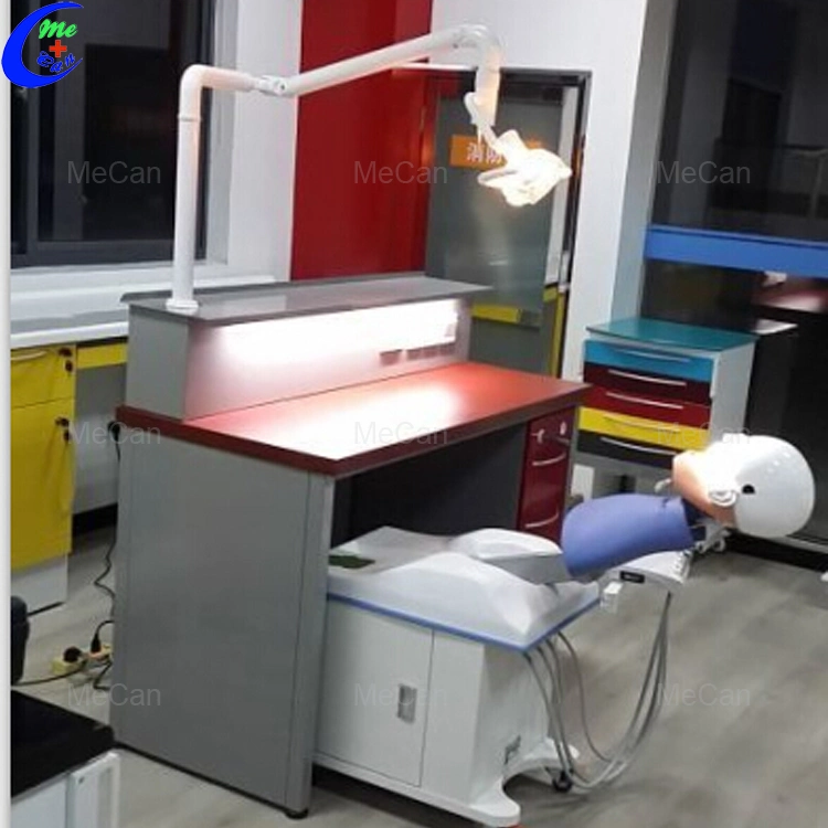 Dental médico de la Unidad de Simulación de la cabeza del maniquí simulador Dental