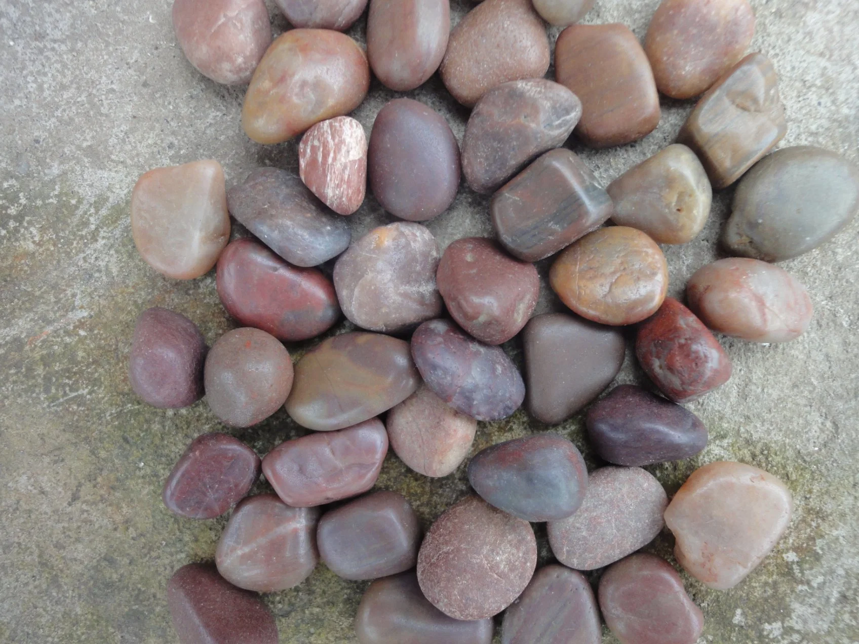 La decoración de jardín de granito de piedra arenisca//Mármol/Pizarra/Pebble/Travertino mosaicos pavimentación