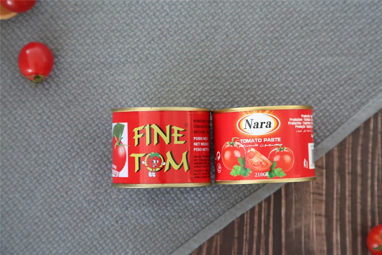 OEM Tomato Paste Buyers Double Concentrated Tomato Paste Ginny Brand for Africa Market