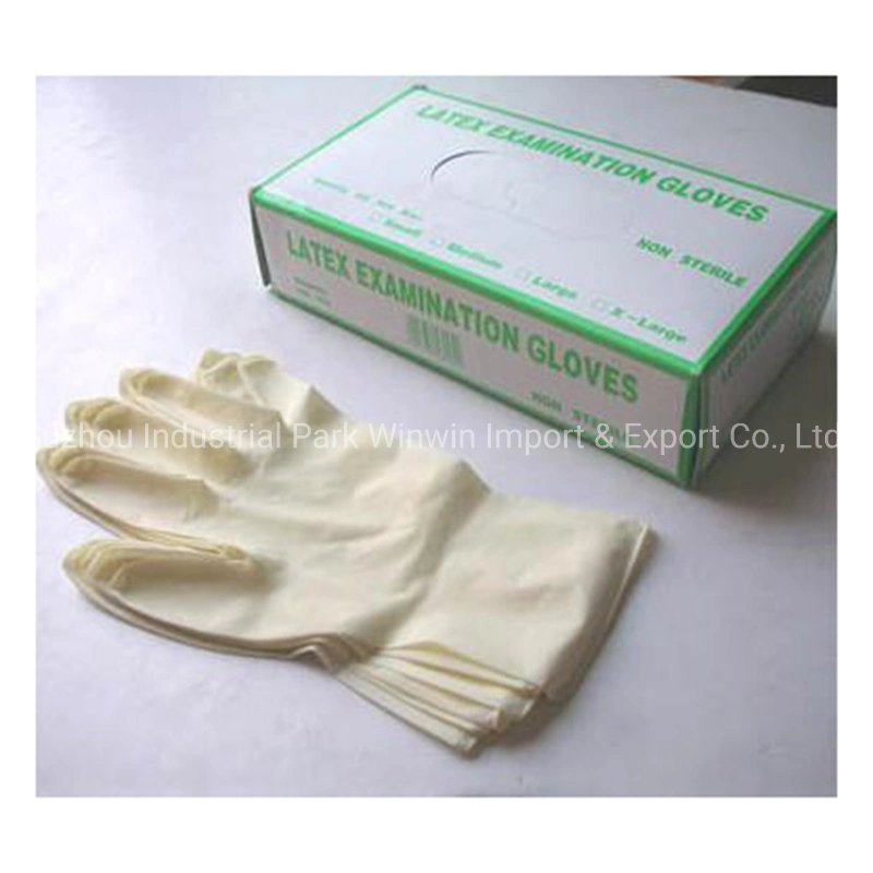 Medical Supply High quality/High cost performance Disposable Latex Examination Glove