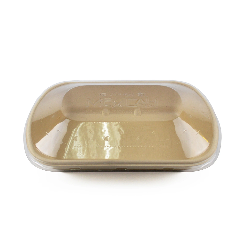 Biodegradable Tableware Disposable Boxes for Delicious Food