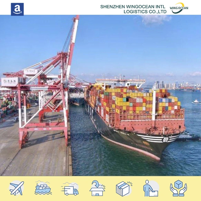 Sea Shipping From China to USA/ Canada/ Europe with The Competitive Offer and Best Service