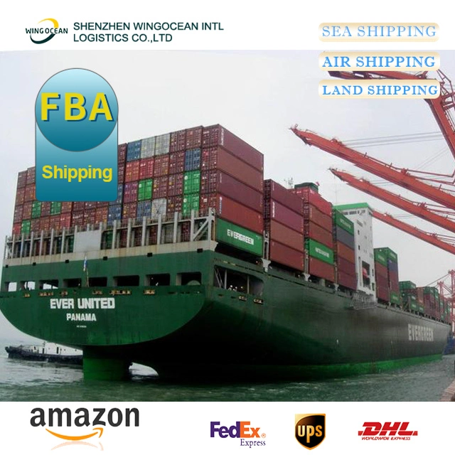 FCL/LCL Lowest Price and Professional Service (DDU/DDP) Sea Shipping Freight Agent From Shenzhen to Mexico/ Australia