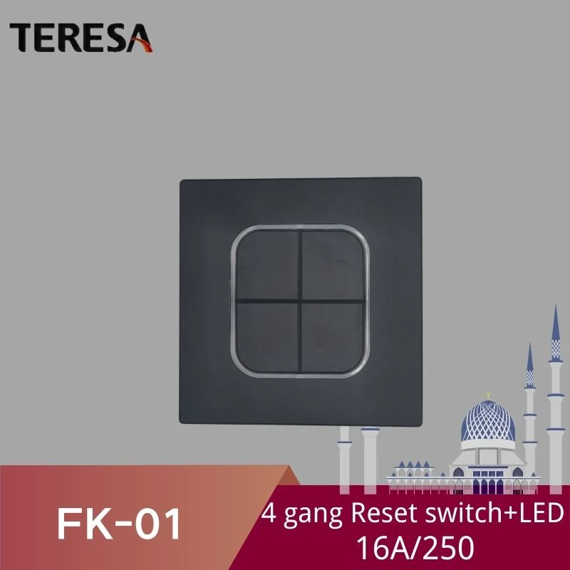 FK série New Design 2 modules acrylique noir givré avec Interrupteur mural électrique À LED