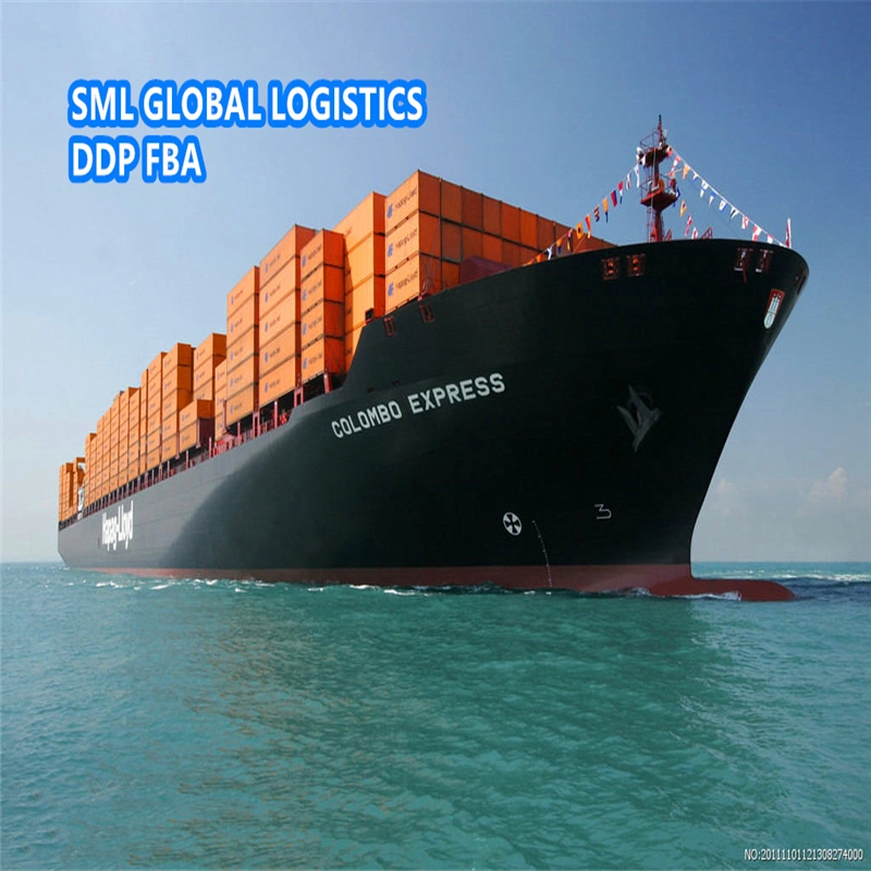 Professional Sea Freight Forwarder Agent Shipping From China to Uruguay/Montevideo