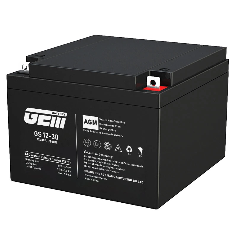 12V30ah GS12-30hr Battery for UPS/ Solar Power Bank /Inverter/Power-Tool/Electric-Scooter/Bicycle/Motoscooter/Bicycle/Motorcycle/Alarm System/Security/Cars/Toy