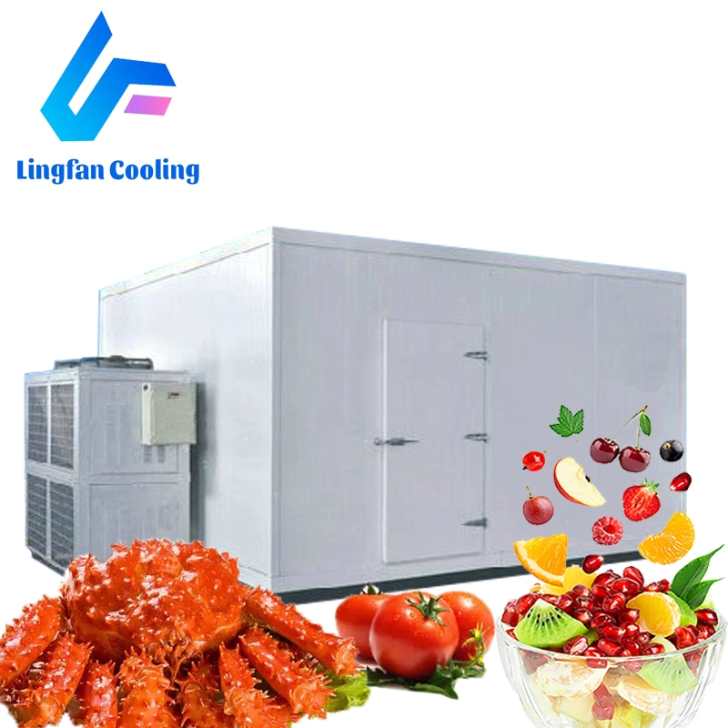 Walk in Cold Room Refrigeration Modular Cold Room Freezer Cold Storage