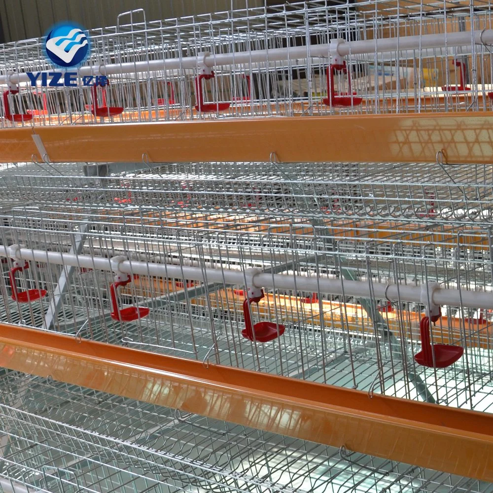 China Hebei Factory Manufacture Hot Sale Chicken Farm Cage