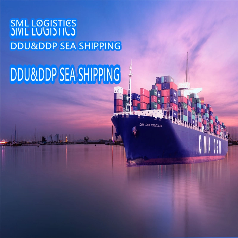 Forwarder/Agent to USA/UK/Italy/France/Egypt/Kuwait Fba Amazon Express Delivery by Air/Sea Cargo/Freight/Shipping Container LCL From China DDP Logistics Service