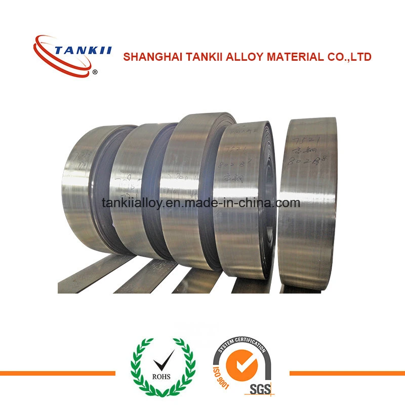 Nickel Chrome Alloy Cronix 80 Strip for Heating Element Nickel Chrome Alloy Strip