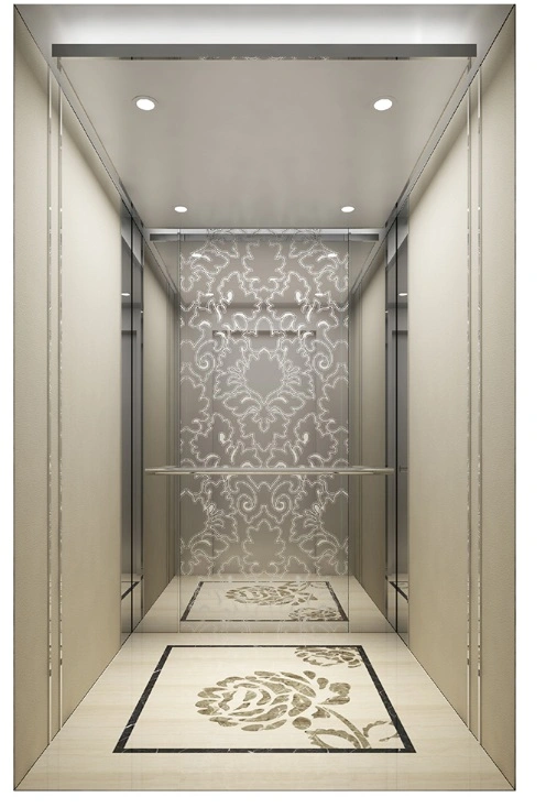 Passenger Home Lift Elevator Parts Ceiling China Supplier