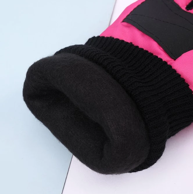 Winter Windproof Women's Warm Ski Gloves