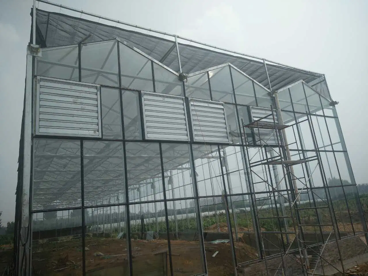 Agriculture Garden Mushroom Grow Vegetables Commercial Glass Green House