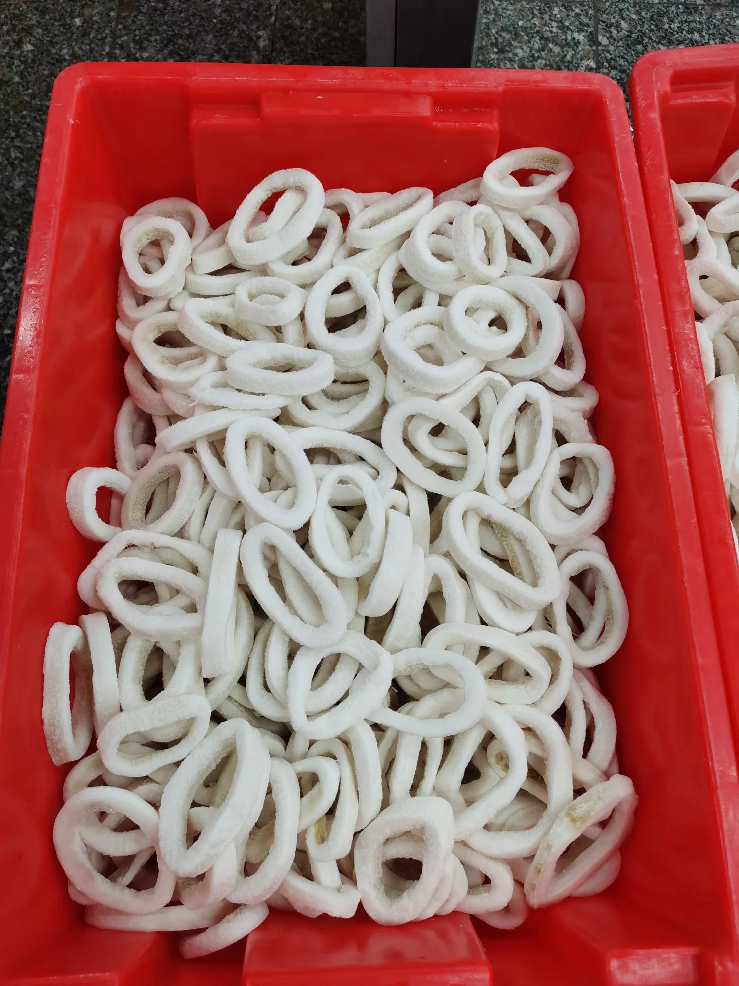 Frozen Dosidicus Gigas Squid/Calamari Ring