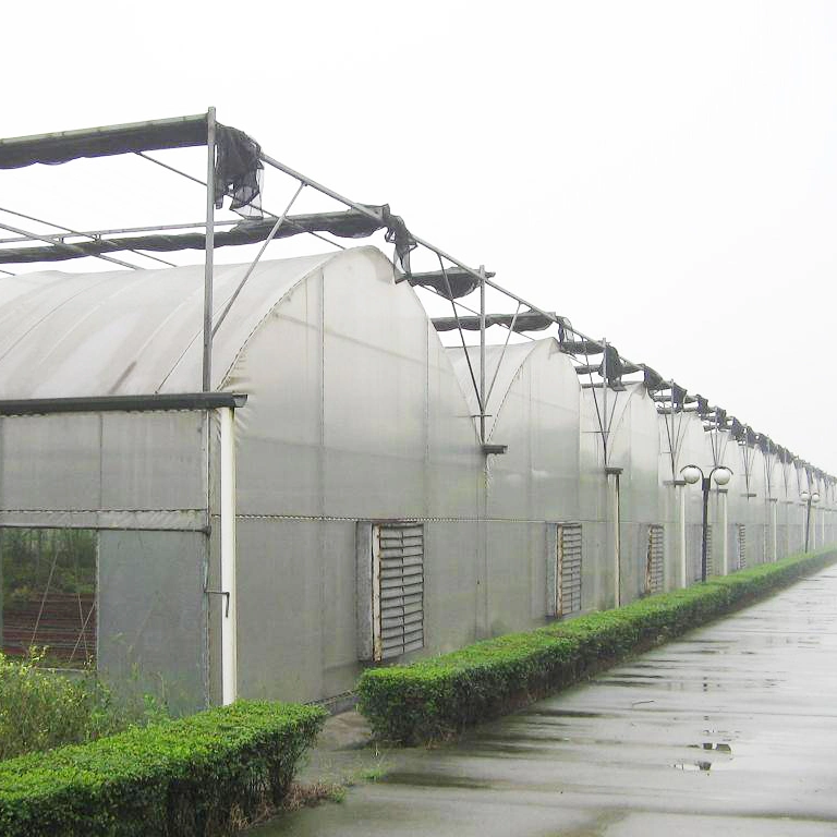 Huijing Hot Sale Multi-Span Plastic Greenhouse for Hydroponic Strawberries