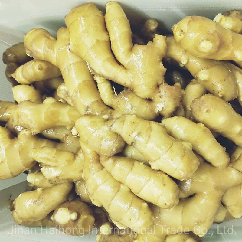 New Harvested Best Quality Fresh Ginger