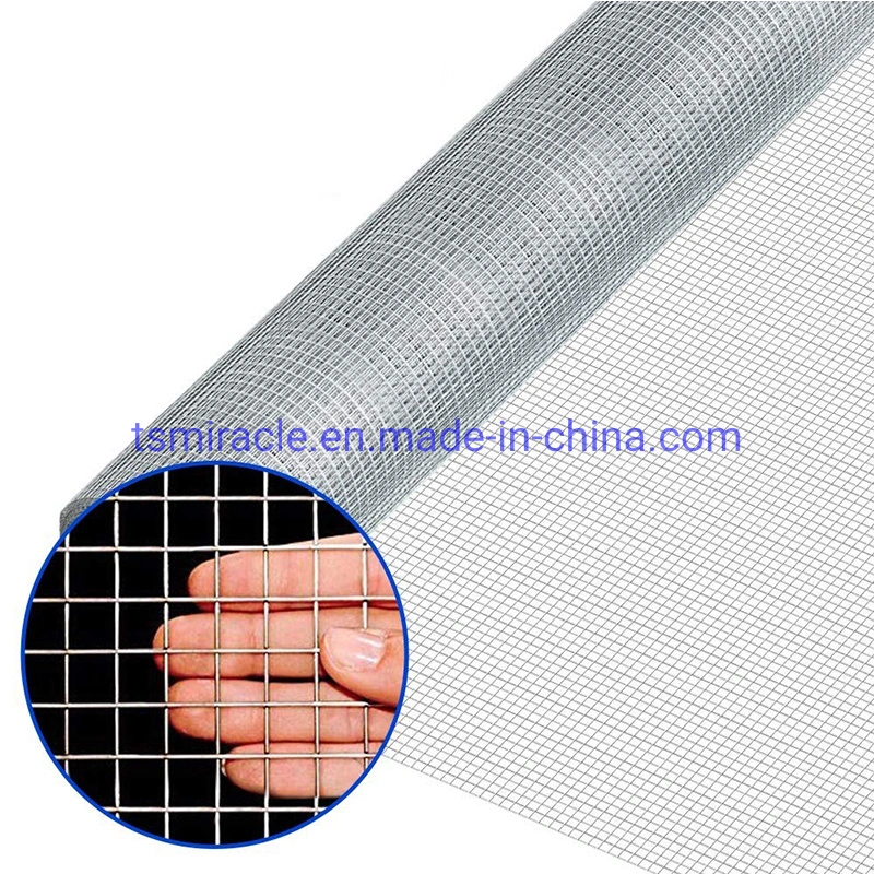 Chinese Manufacture Electro Galvanized/PVC Coated Welded Iron Wire Mesh