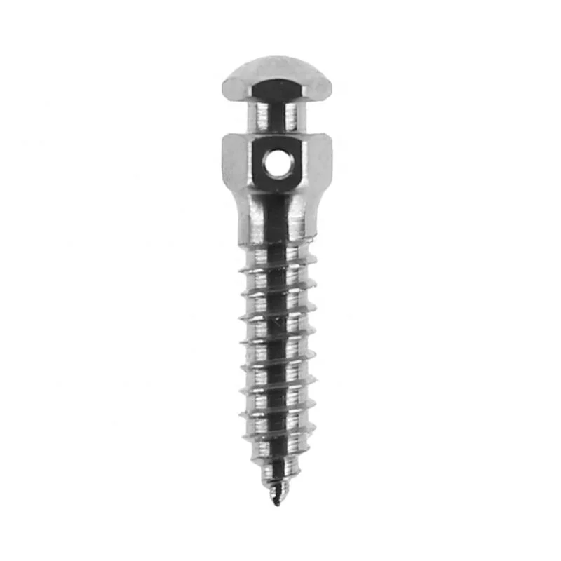 Biom Small Head Dental Implant Titanium Alloy Micro Orthodontic Anchorage Screw