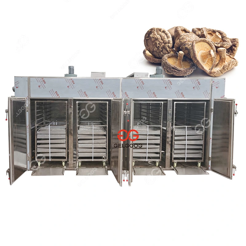 Full Processing Fruits Drying Machine Dry Mango Machinery Mango Drier Machine Mango Dehydration Plant