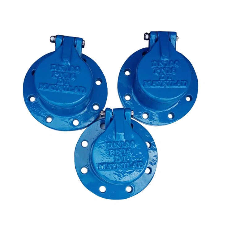 Standard DN100 Pn10 Non-Return Flap Metal Seal Check Valves