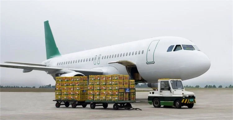 Reliable Air Freight From Harbin(HRB), Changchun(CGQ), Shenya(SHE) to GeorgeWashington(IAD), Boston(BOS), Chicago(ORD), New York(JFK), San Francisco(SFO ), US