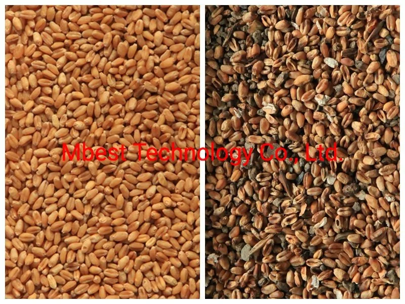 Multi-Function Wheat/Buckwheat/Barley Color Sorter Colour Sorting Machine