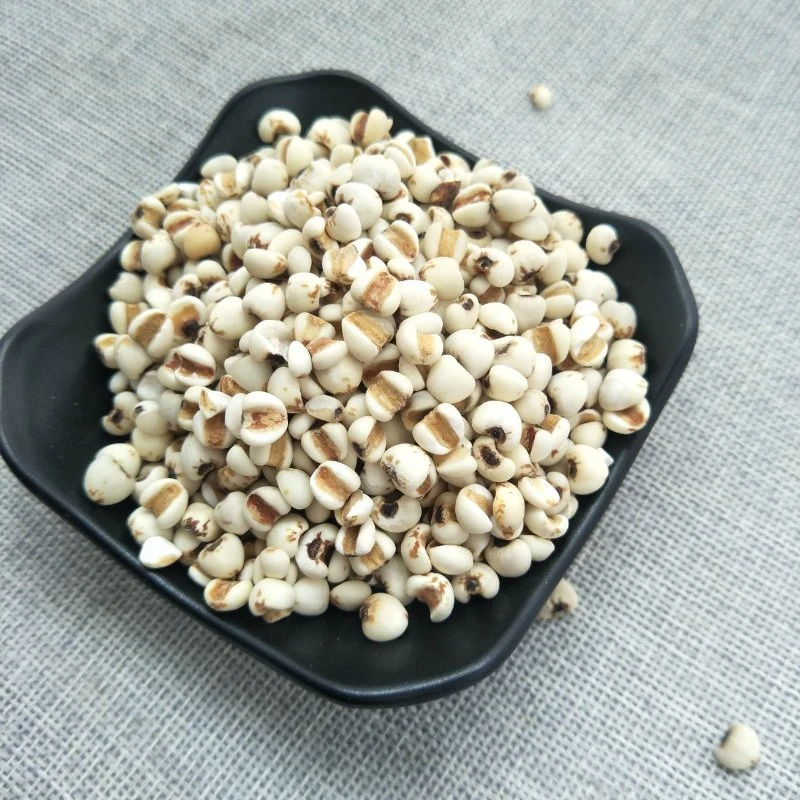 Yi Yi Ren Factory Supply High Quality Hot Sale Natural Herbal Medicine Coix Seed for Health