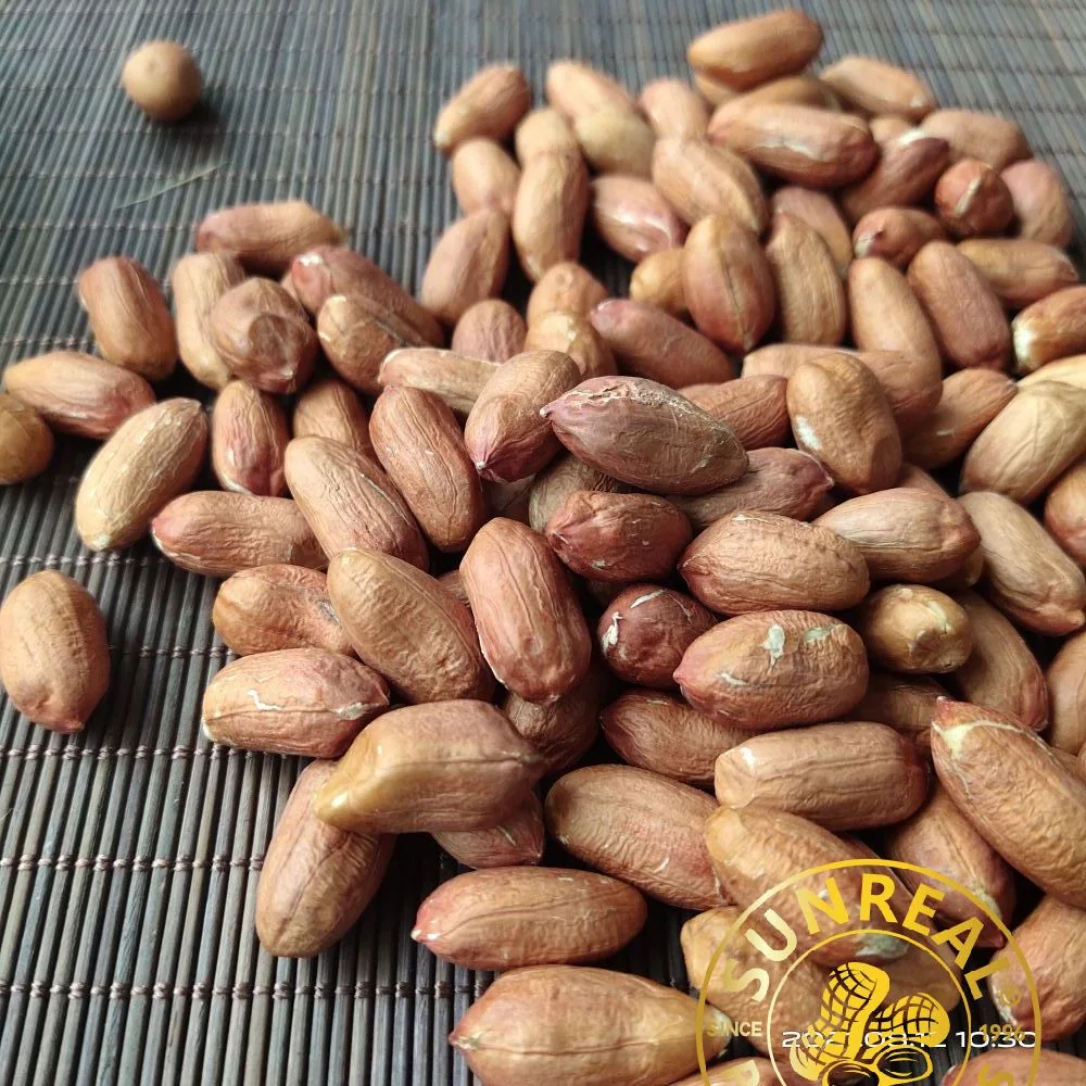 Raw Peanut Kernels Virginia 24/28 China/Reliable Brand/Best Quality