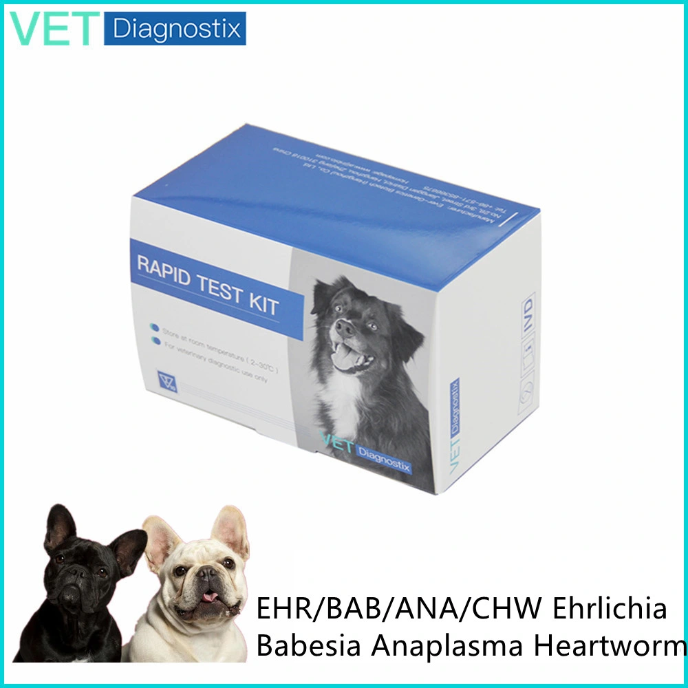 Ticks Disease Test Ehrlichia/Anaplasma/Heartworm/Babesiosis Rapid Test