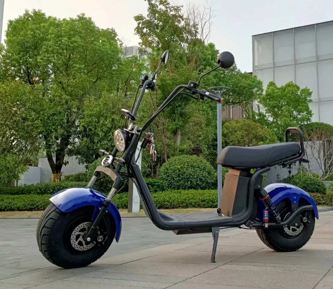 Popular 2 Wheel Fat Tire 2000W 60V CE Citycoco Electric Scooter