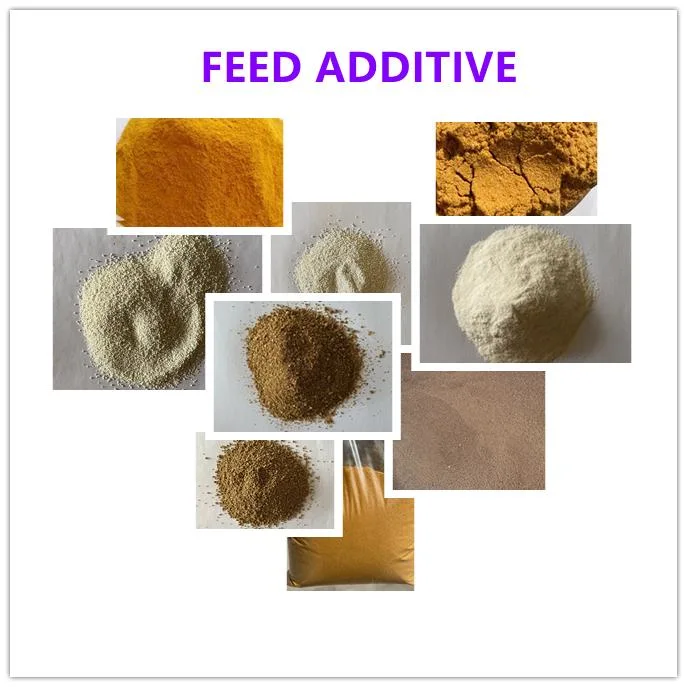 Animal Feed Additive Yellow Corn Ddgs 28%